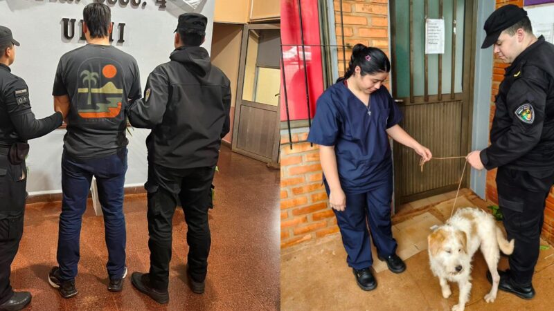 Detuvieron a un obereño tras la difusión de videos de maltrato animal