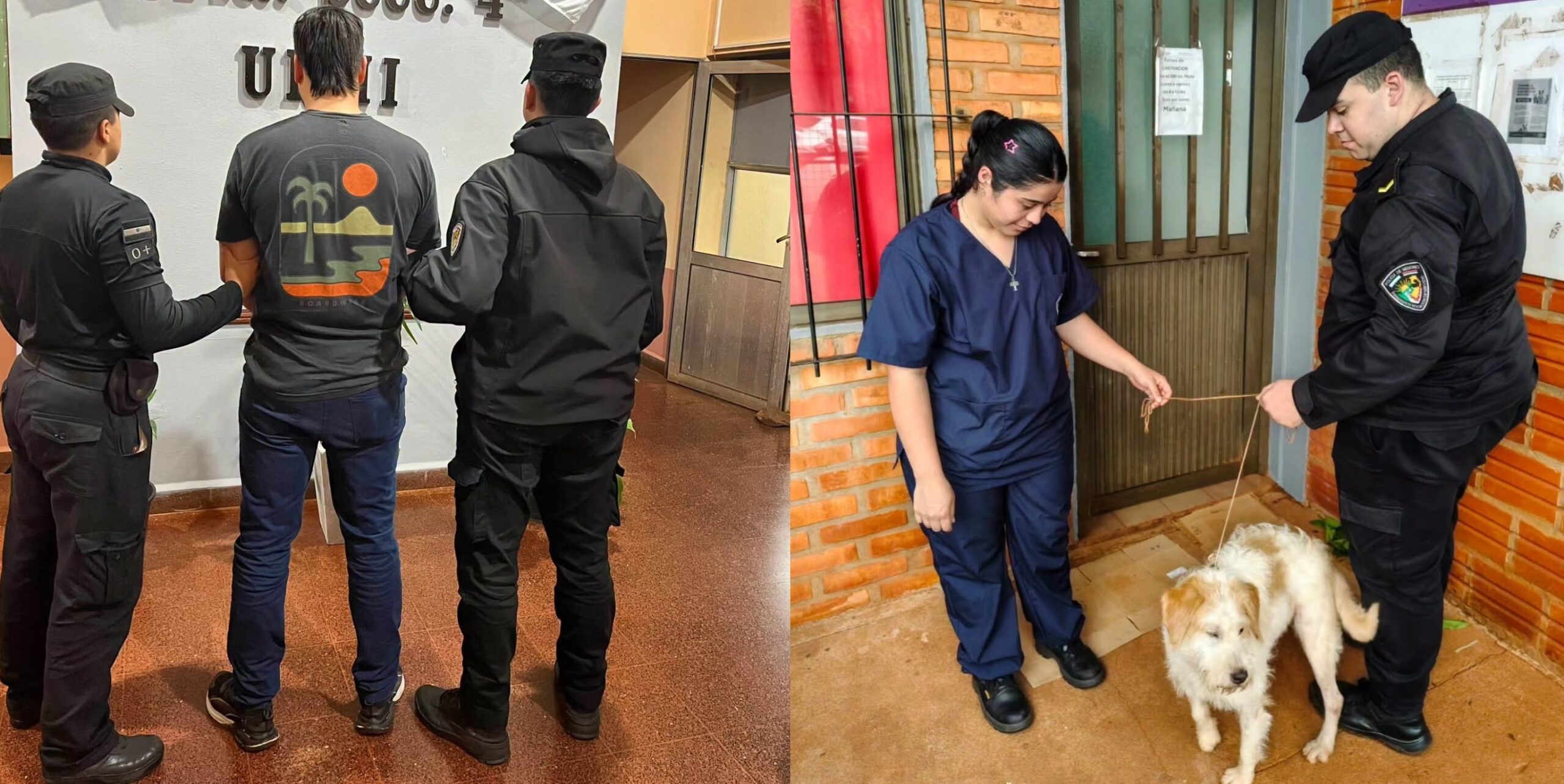 Detuvieron a un obereño tras la difusión de videos de maltrato animal